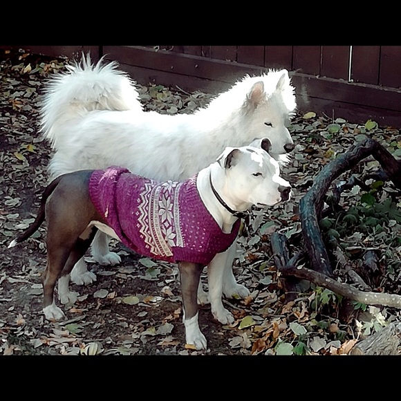 Meet your Posher, Robbin - Picture 1 of 1